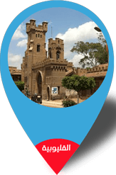  يونيون فيكس   فى القليوبية